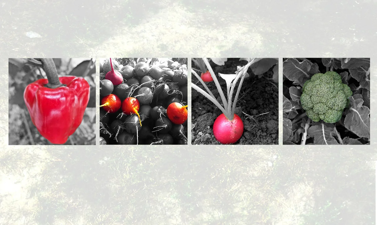 jardinier_dechaine_entete-v2.jpg