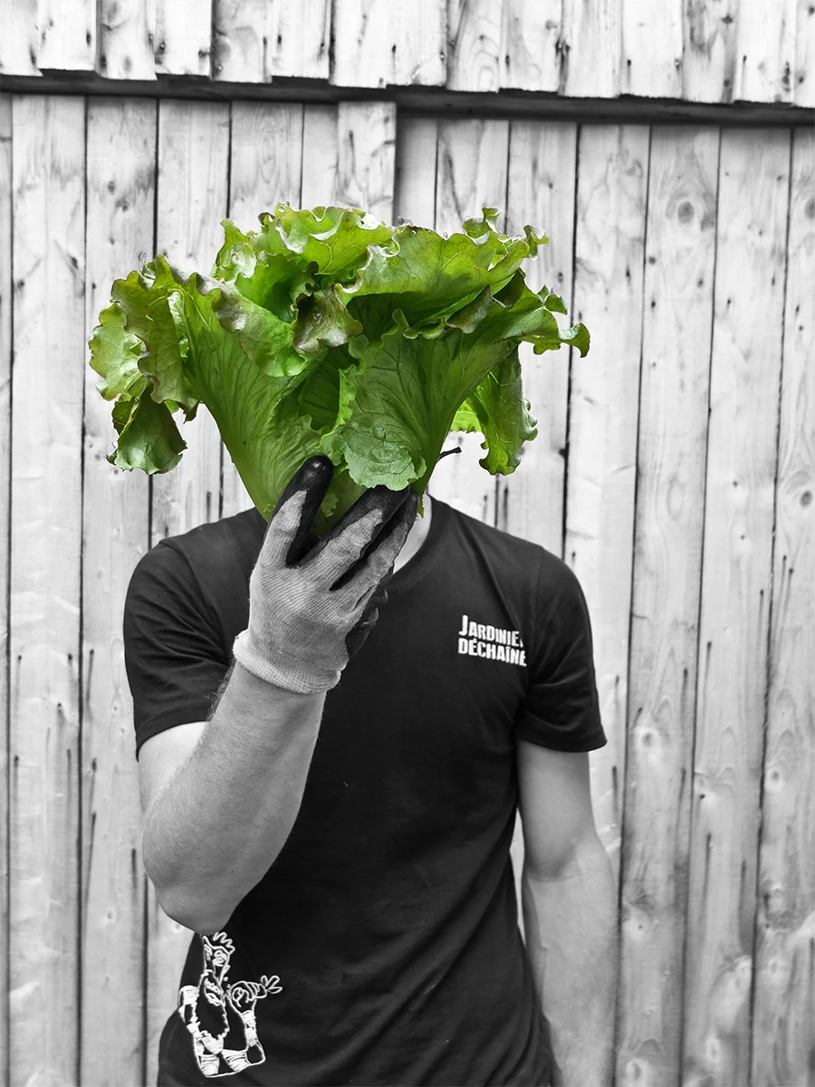 jardinier-dechaine.jpg