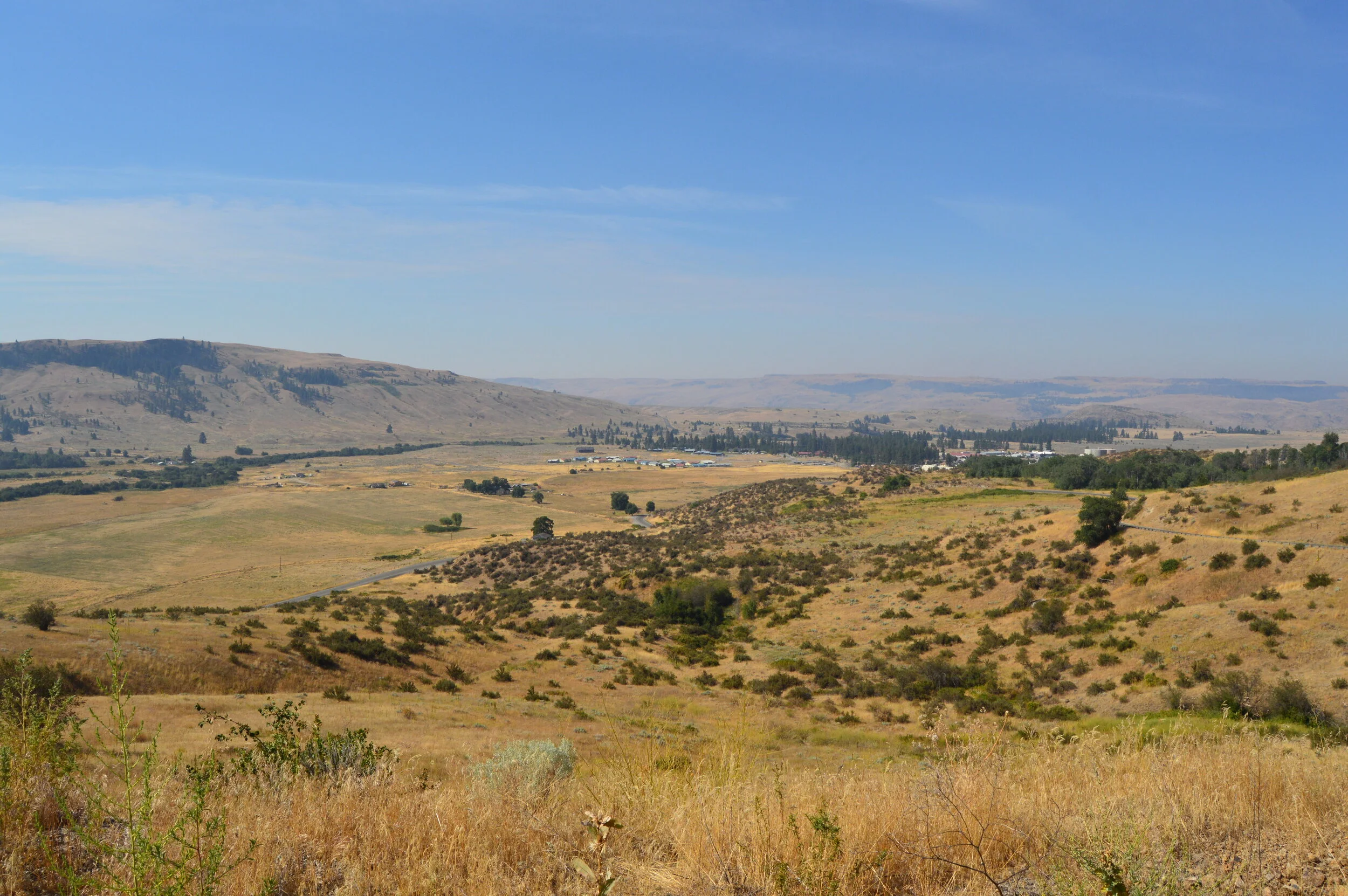 DSC_6835.JPG