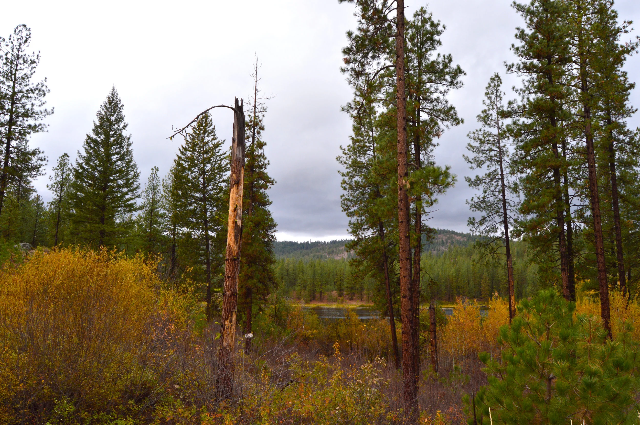 NespelemLake.jpg