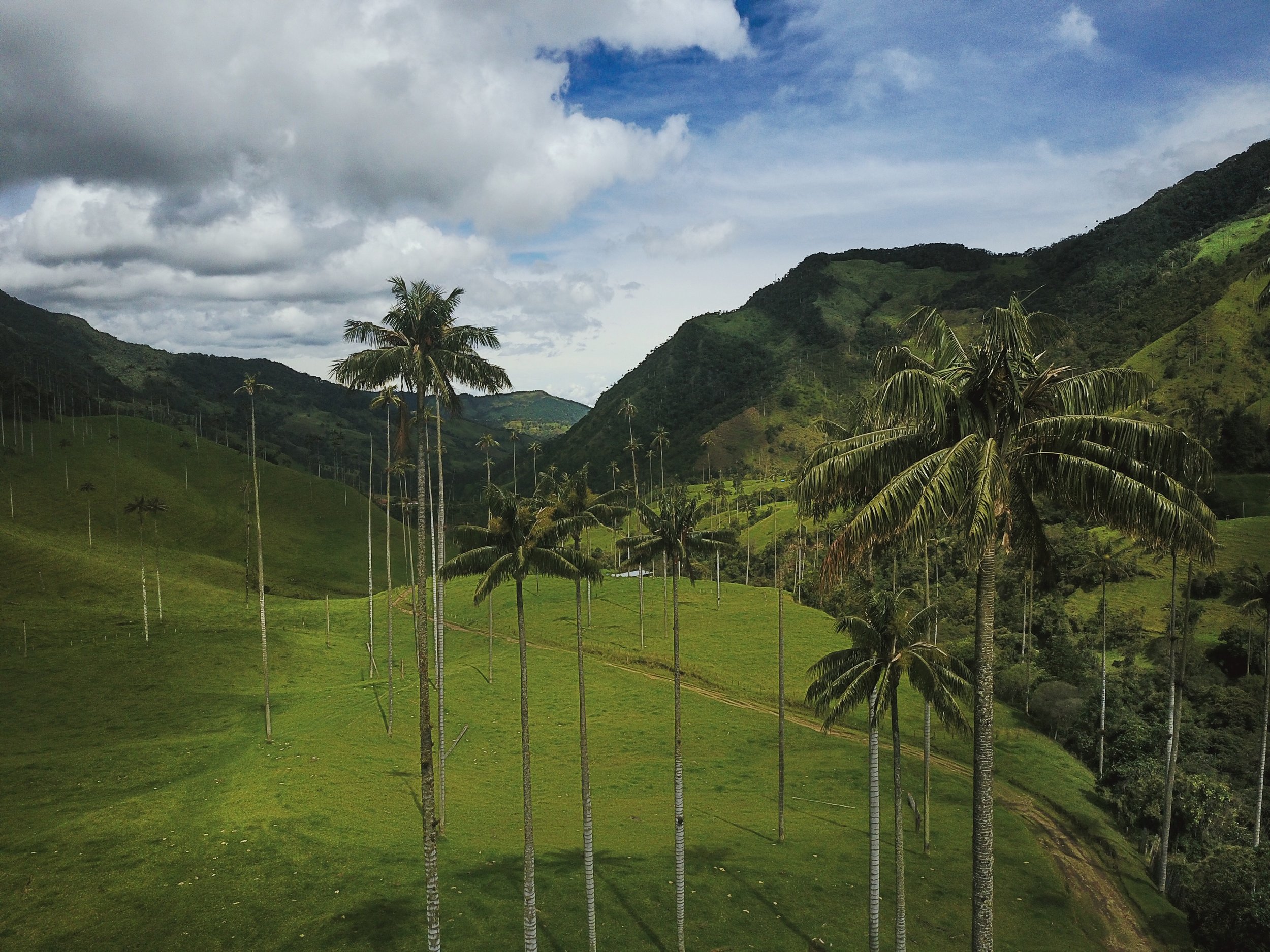 Ecuador & Colombia PhotoJournal