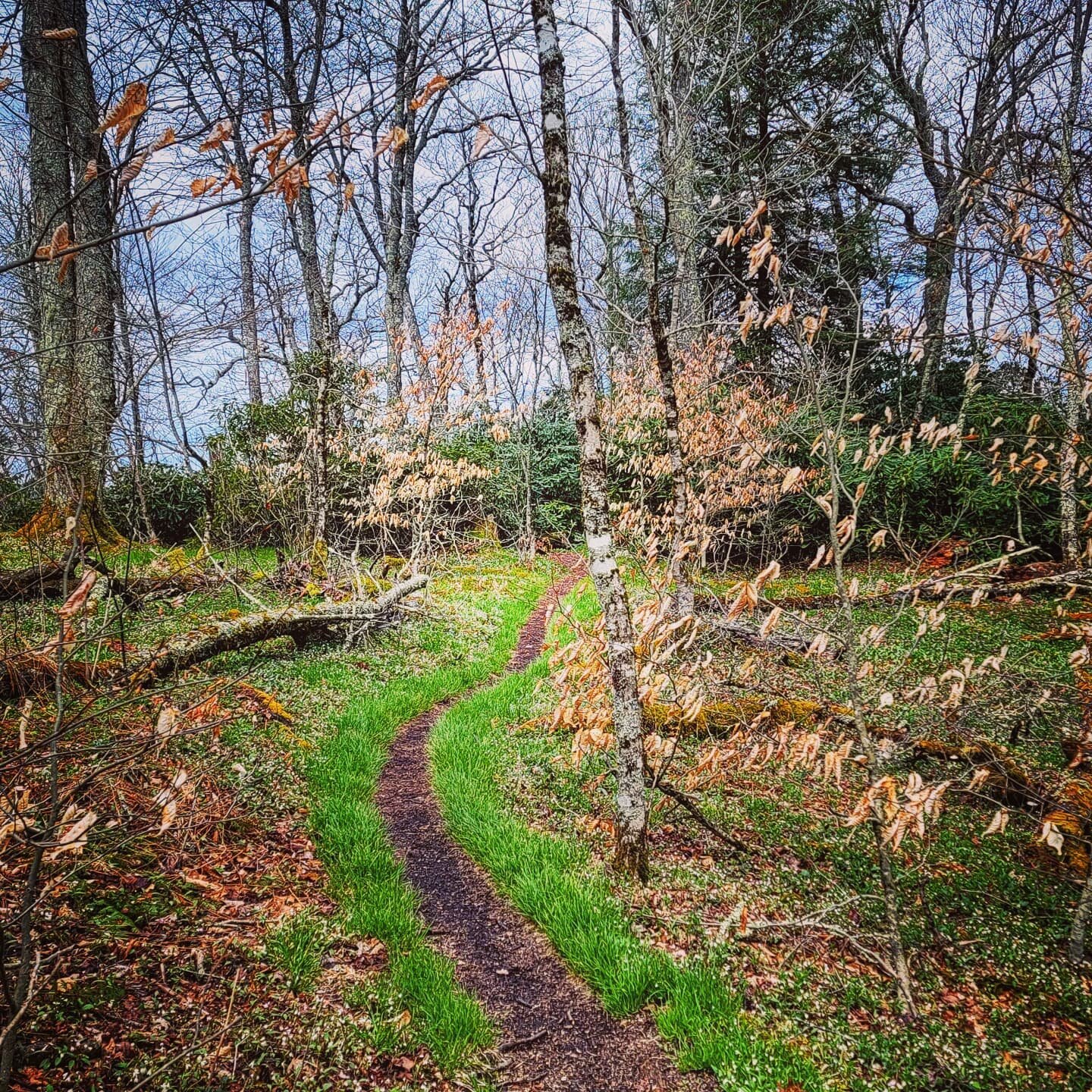 I'm really looking forward to hitting the trail this weekend and enjoying the mountain views.🌄 Might even find some new friends along the way. 

If you are looking to enjoy a weekend in the backcountry, look no further. TWB Tours has got you covered