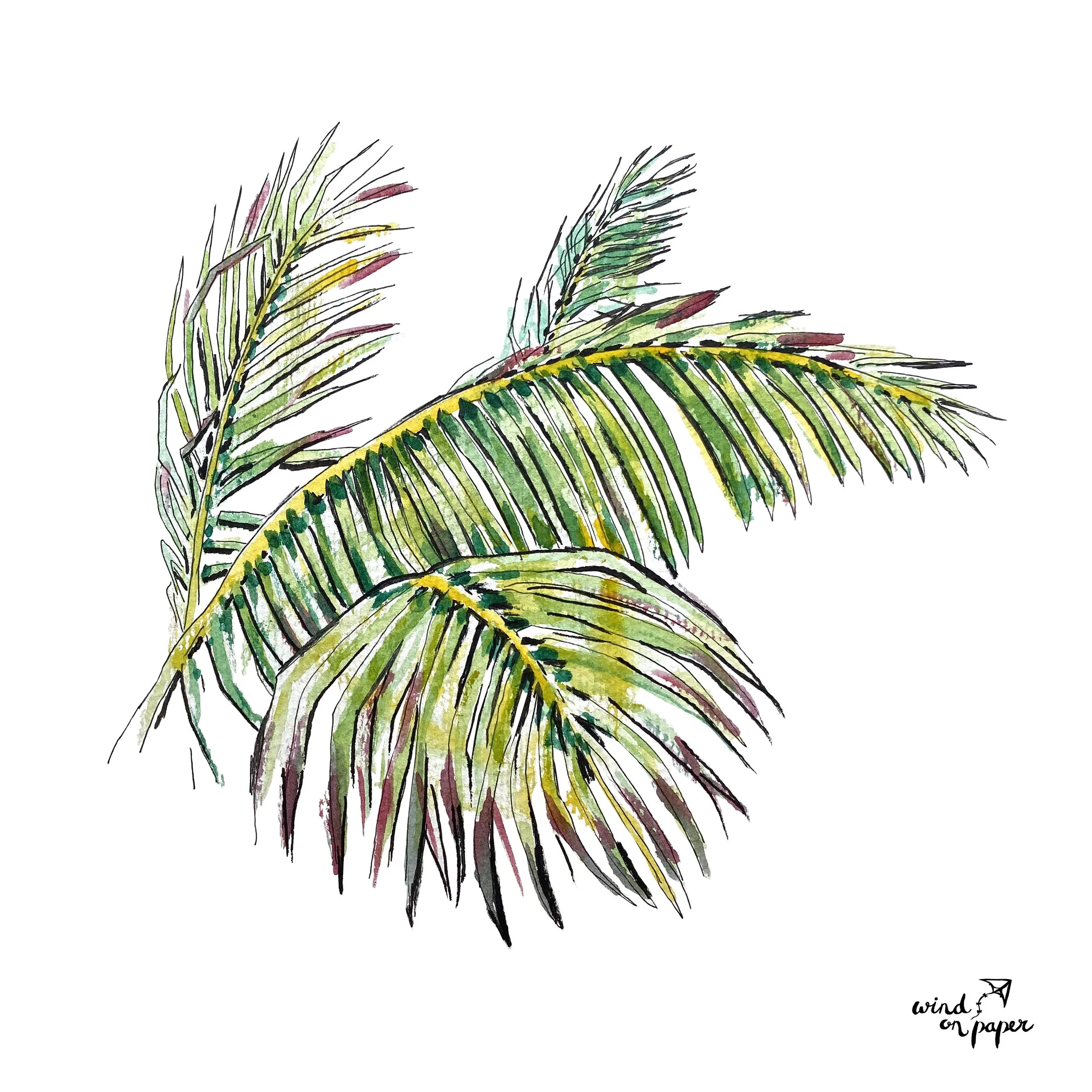palm_leaves.jpg