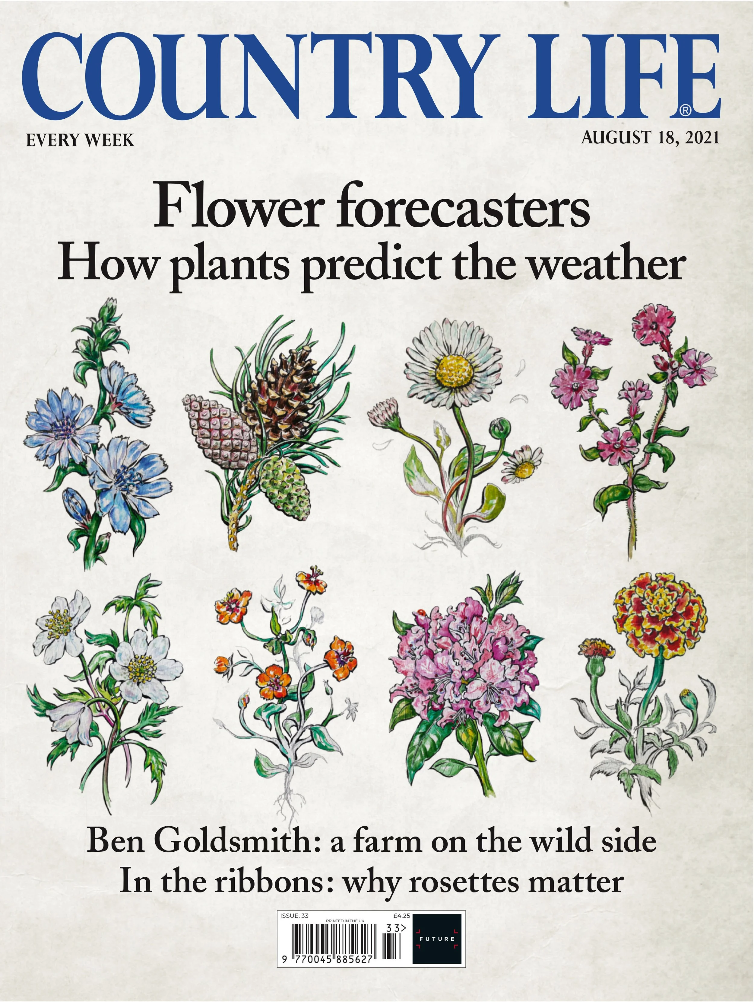 CountryLive_wildflowers_AUG 18_Cover.jpg