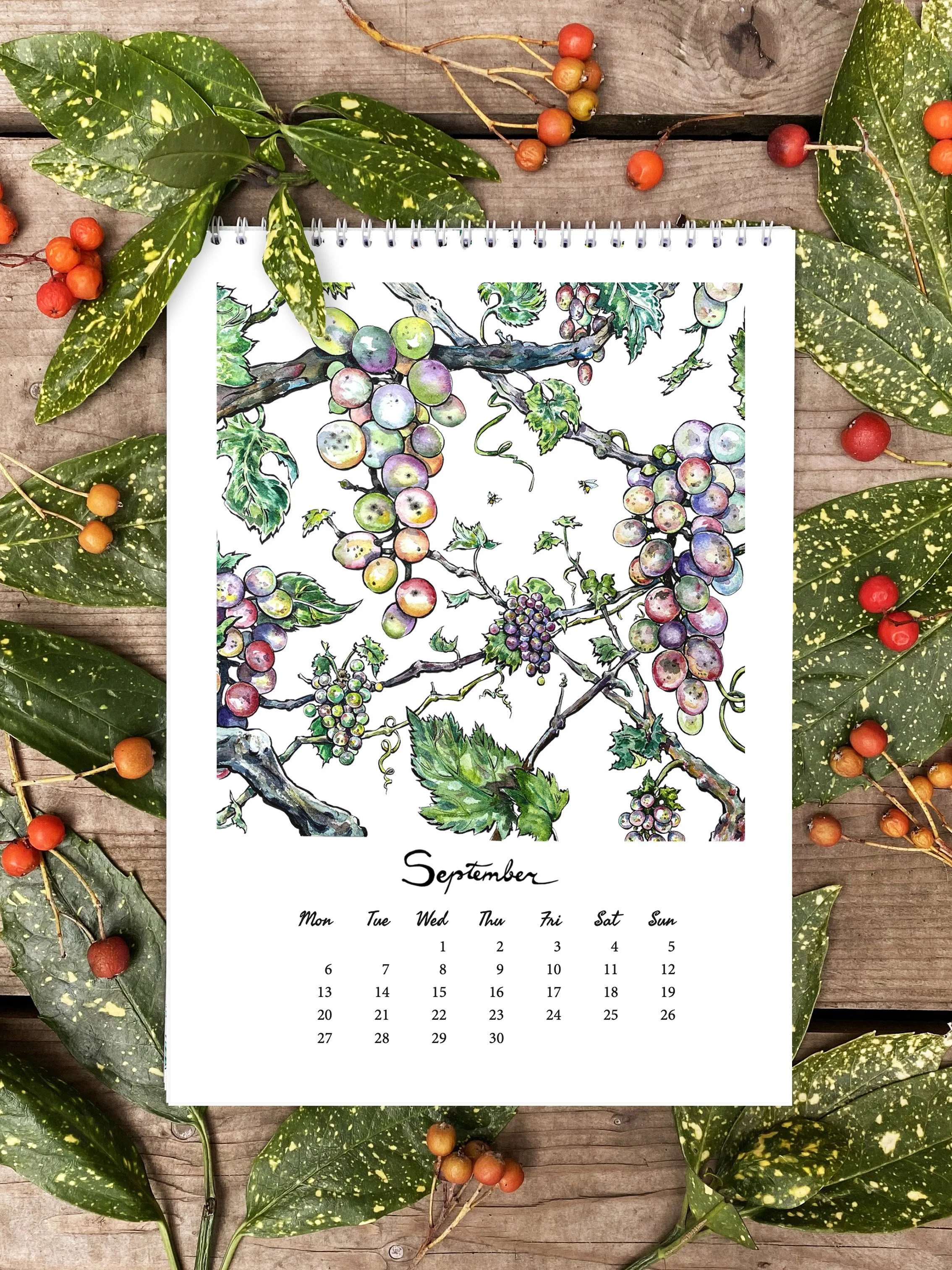 embro_calendar__grapes2027.jpg