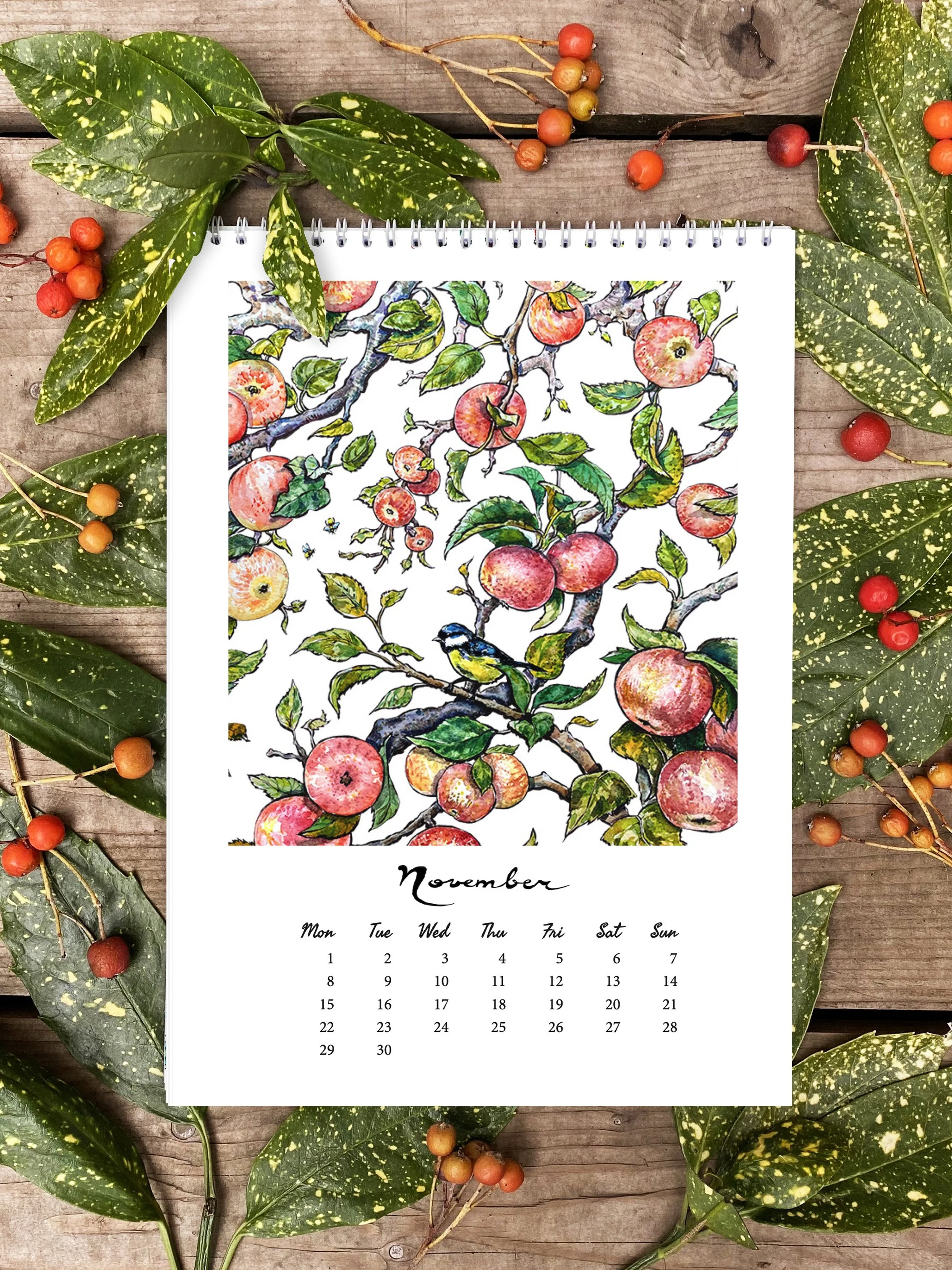 embro_calendar__apples2027.jpg