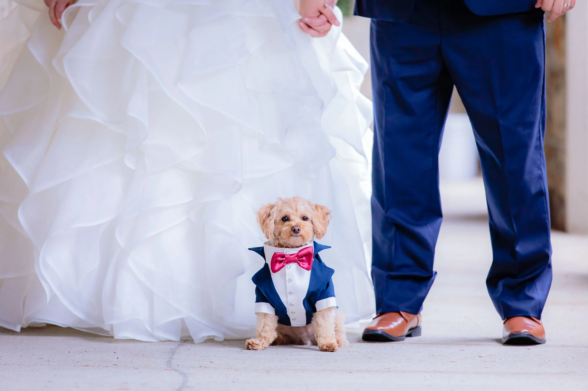 The-Pennsylvanian-Wedding-Photography_068.jpg