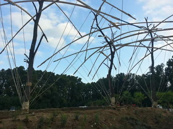 2015-08-19 19.08.39.jpg