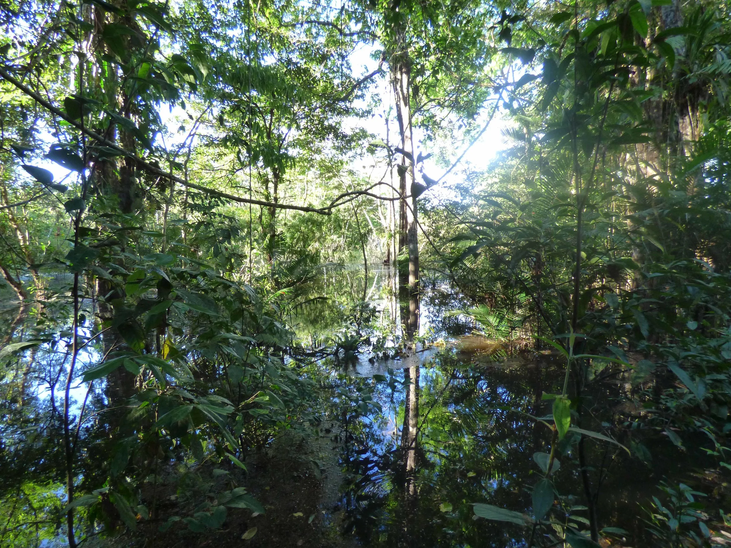 P1020325.jpg