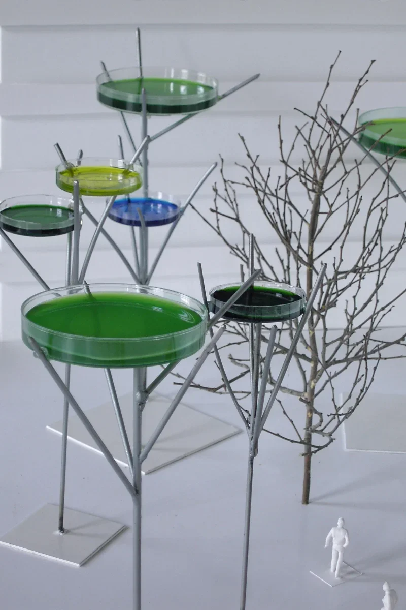 "life suite" Univesity of LLN Project 2007. Belgium