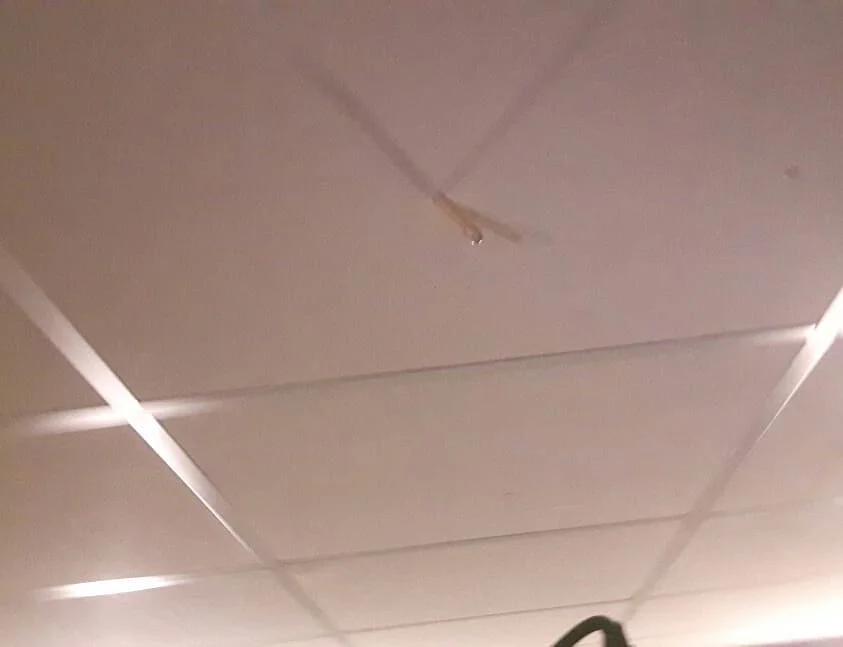 Primer día de grabación, nuestro percusionista rompió una baqueta…. Que terminó clavada en el techo!!! Mejor manera de empezar?? Imposible :D First day of recording, the percussionist broke a drumstick…… that ended up nailed to the roof!!! What a great way to start :D