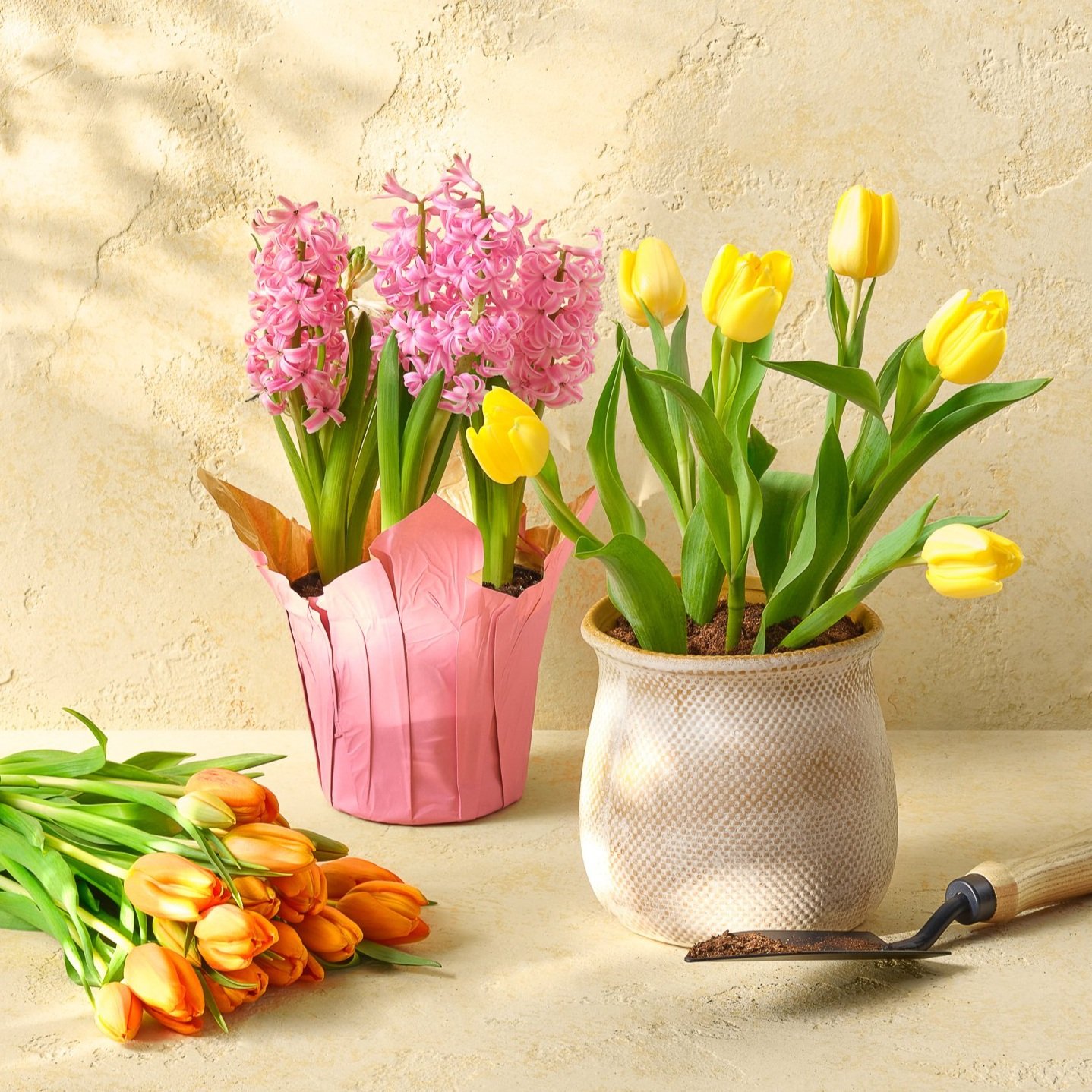 C-002426-01-007_Grocery_March_EasterFreshFlowers_Value_CP_1440x1440-2.jpg