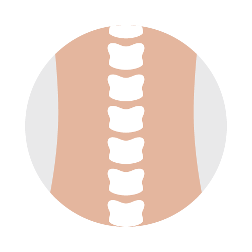 DOC-Services-Neck-Spine.png