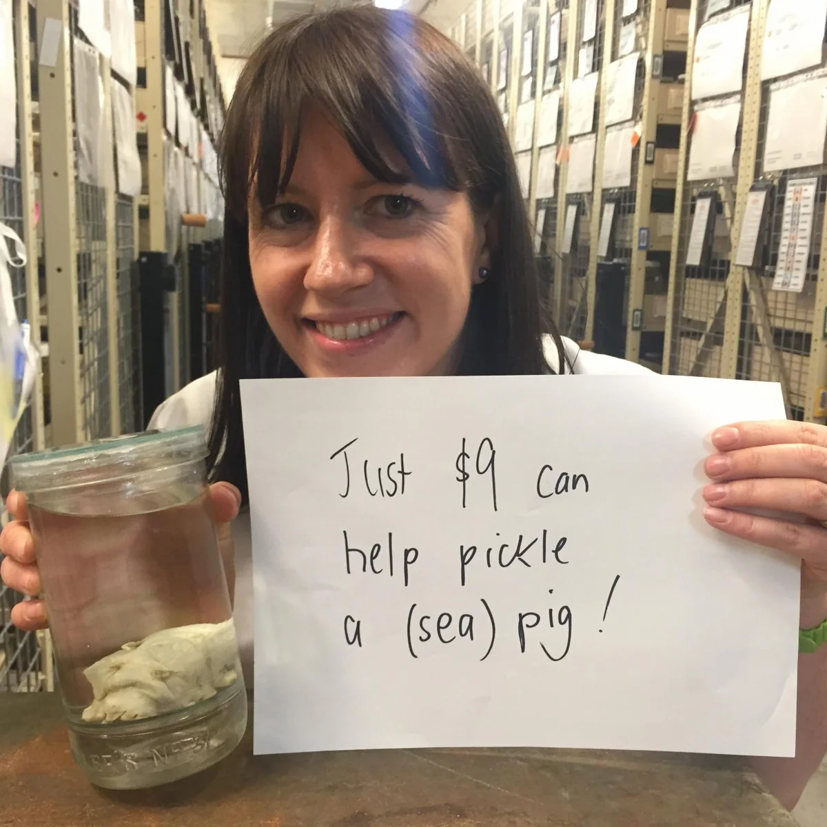 just-9-can-help-pickle-a-sea-pig.jpg