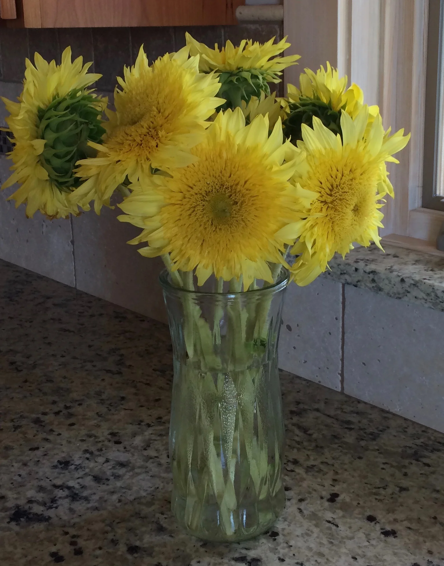 Sunflowers