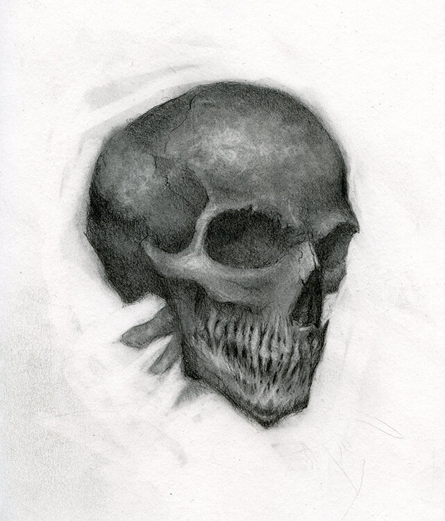 Skull Study