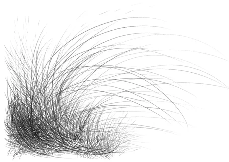 linien1_klein.jpg