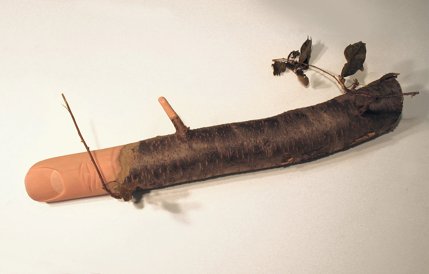Finger Branch