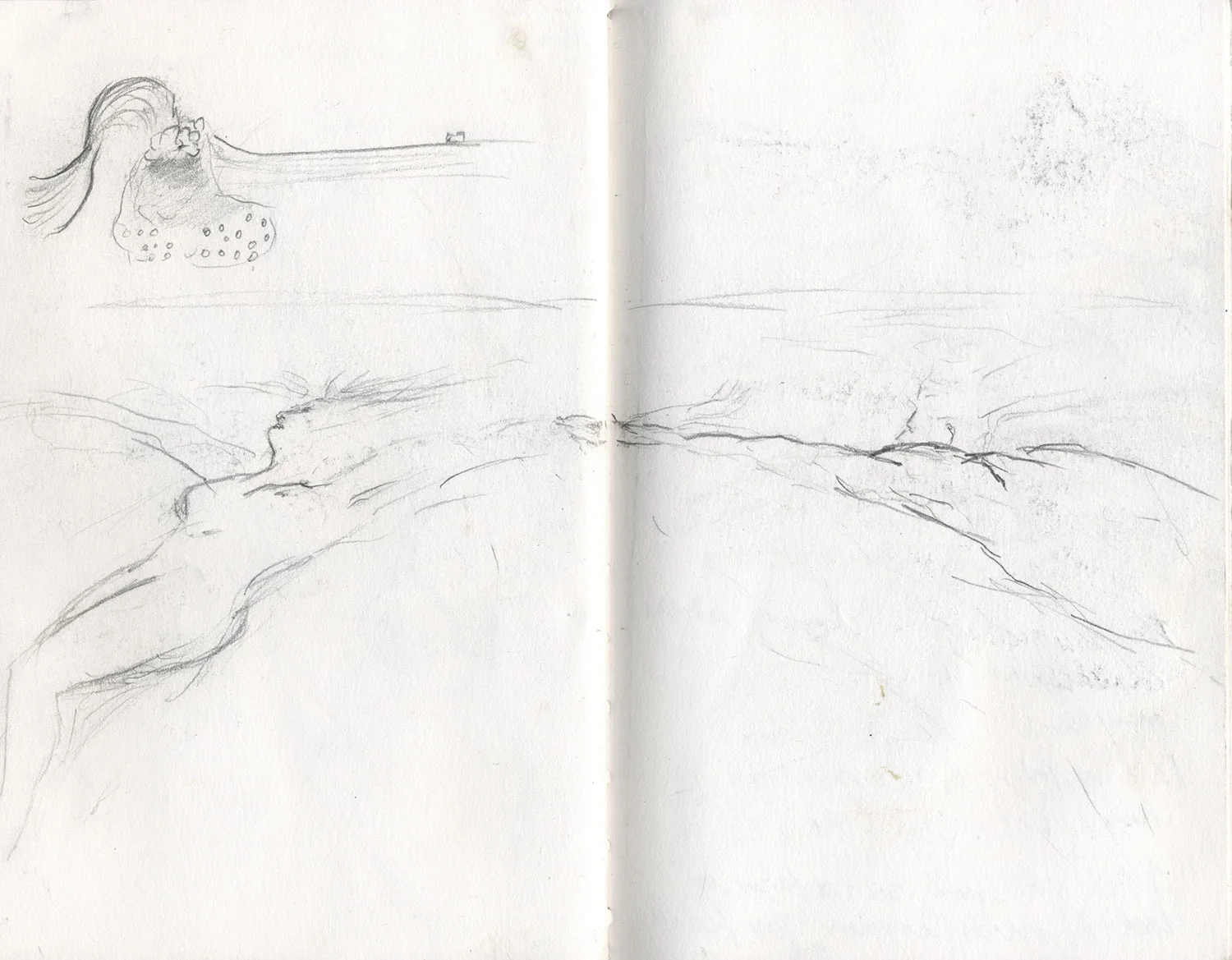Sketchbook 24