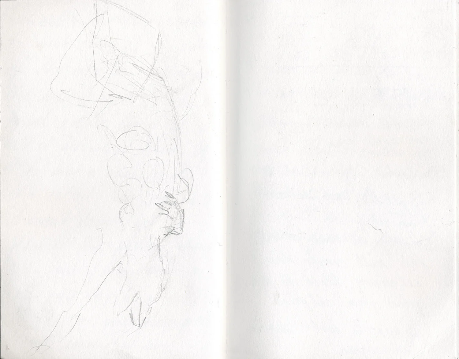 Sketchbook 24