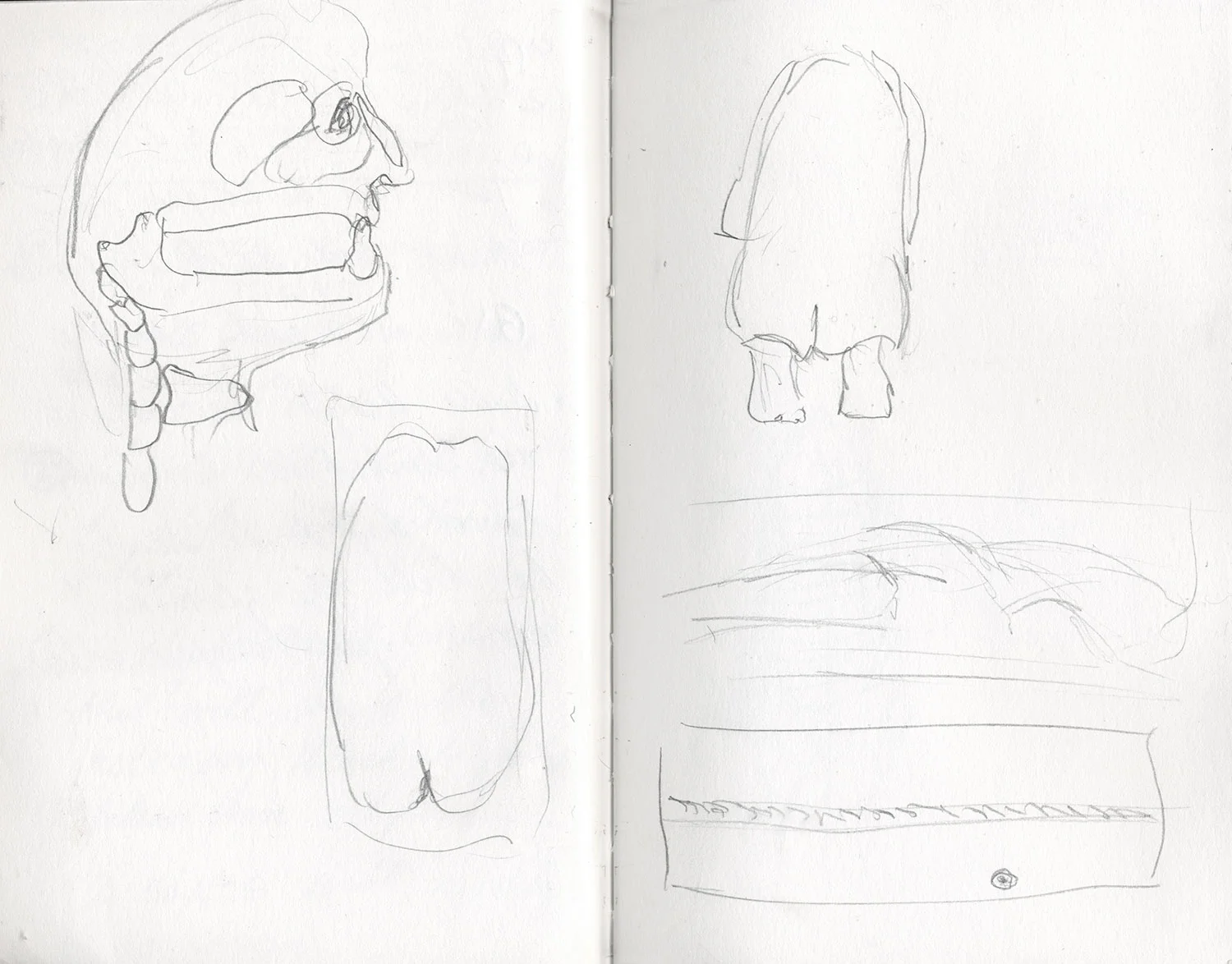 Sketchbook 24