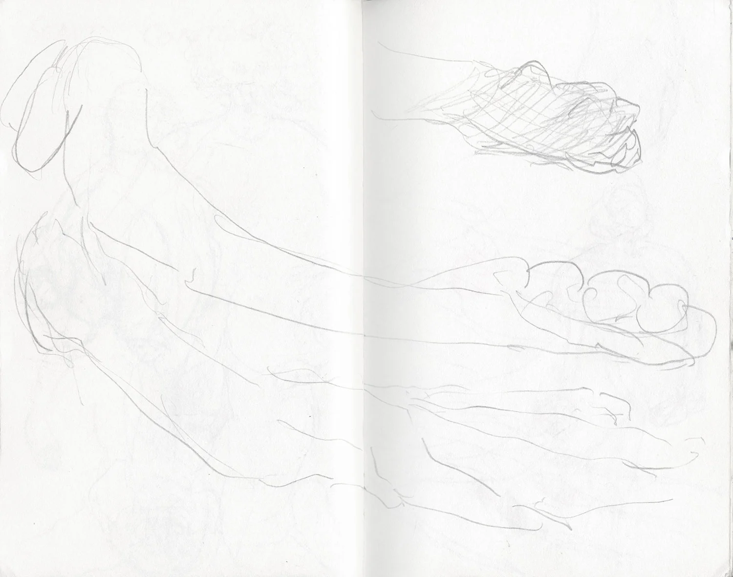Sketchbook 23