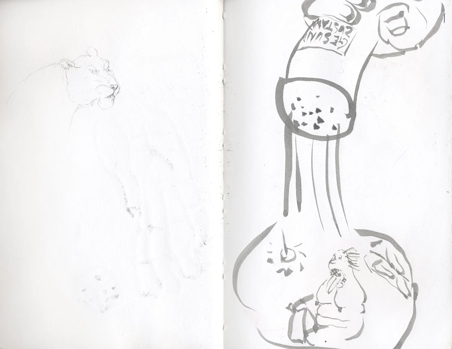 Sketchbook 22