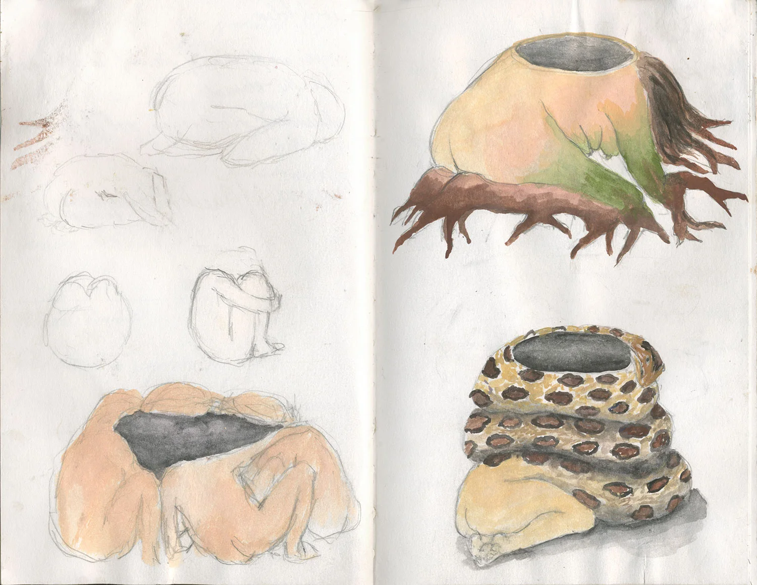 Sketchbook 25