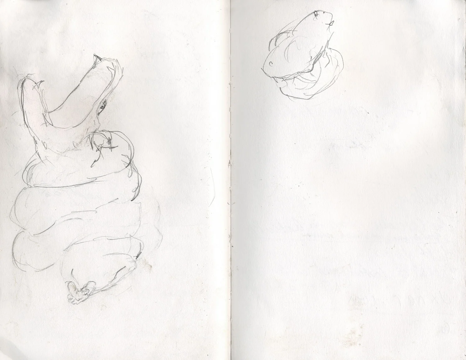 Sketchbook 25