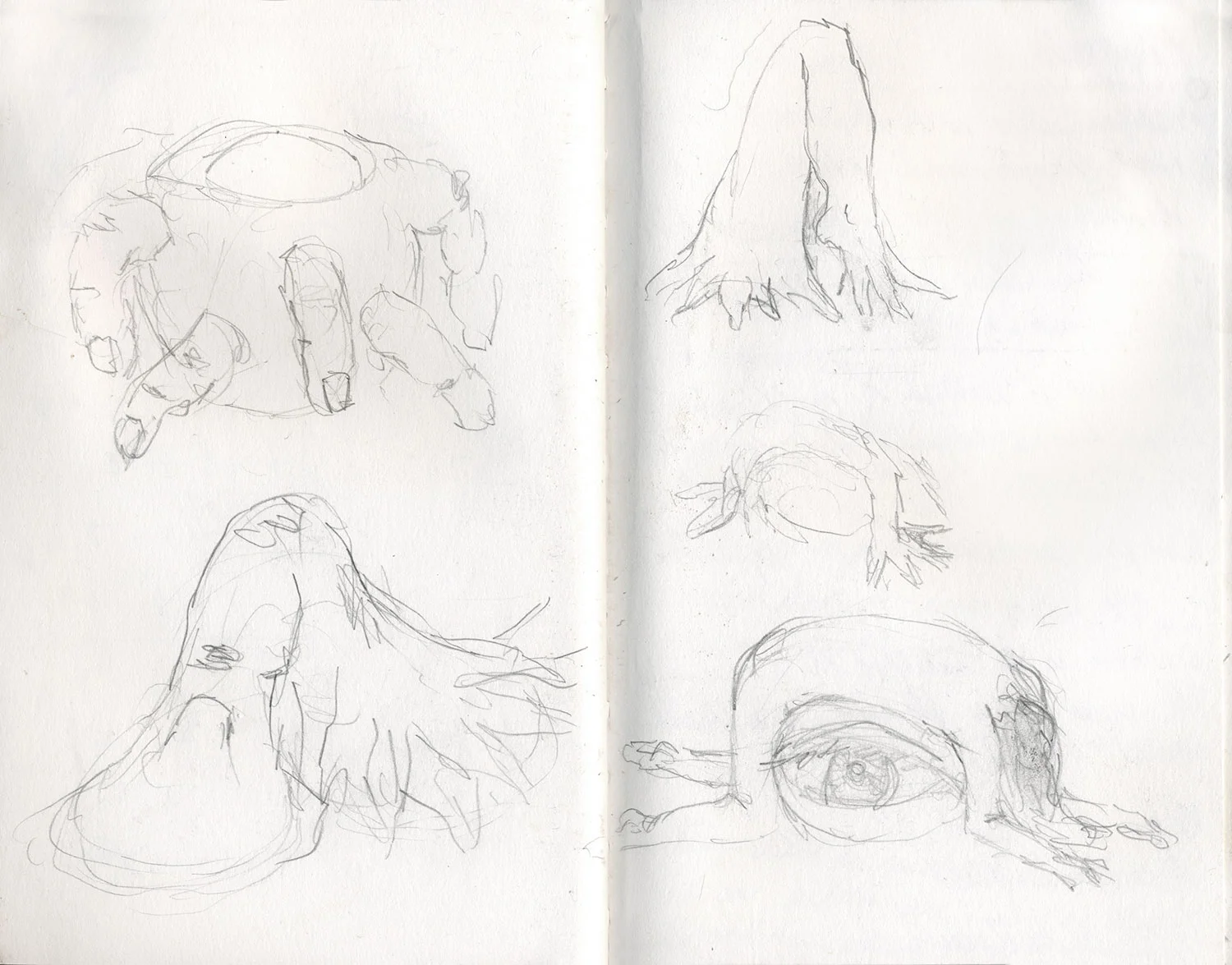 Sketchbook 25