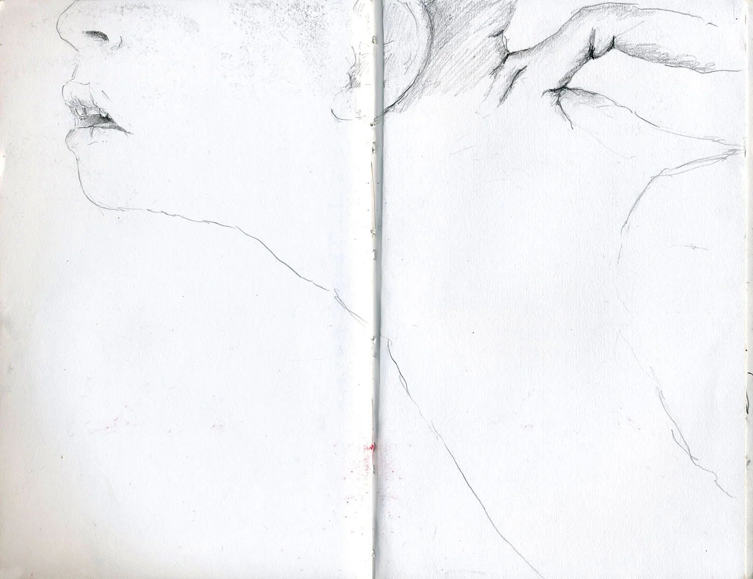 Sketchbook 21