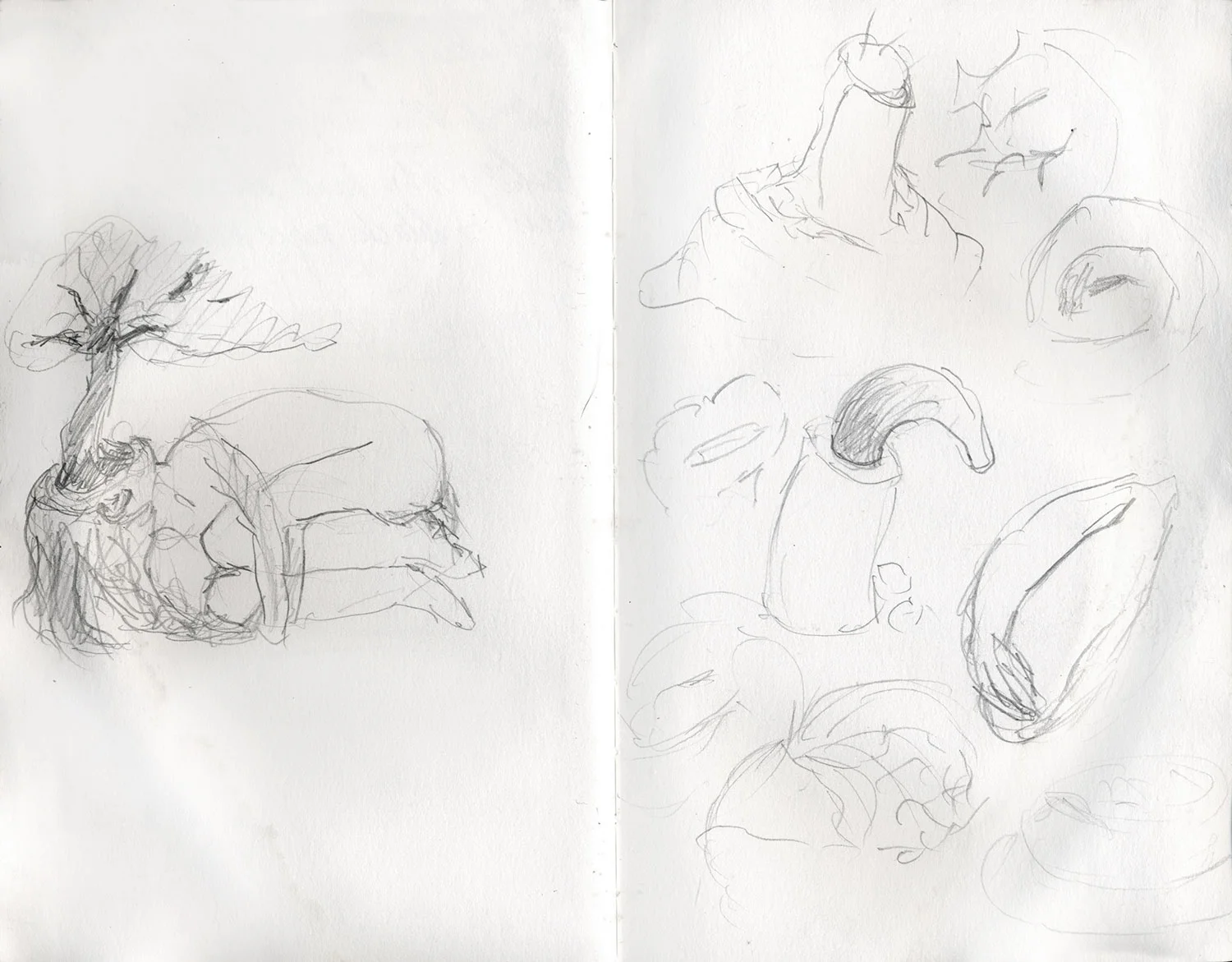 Sketchbook 26