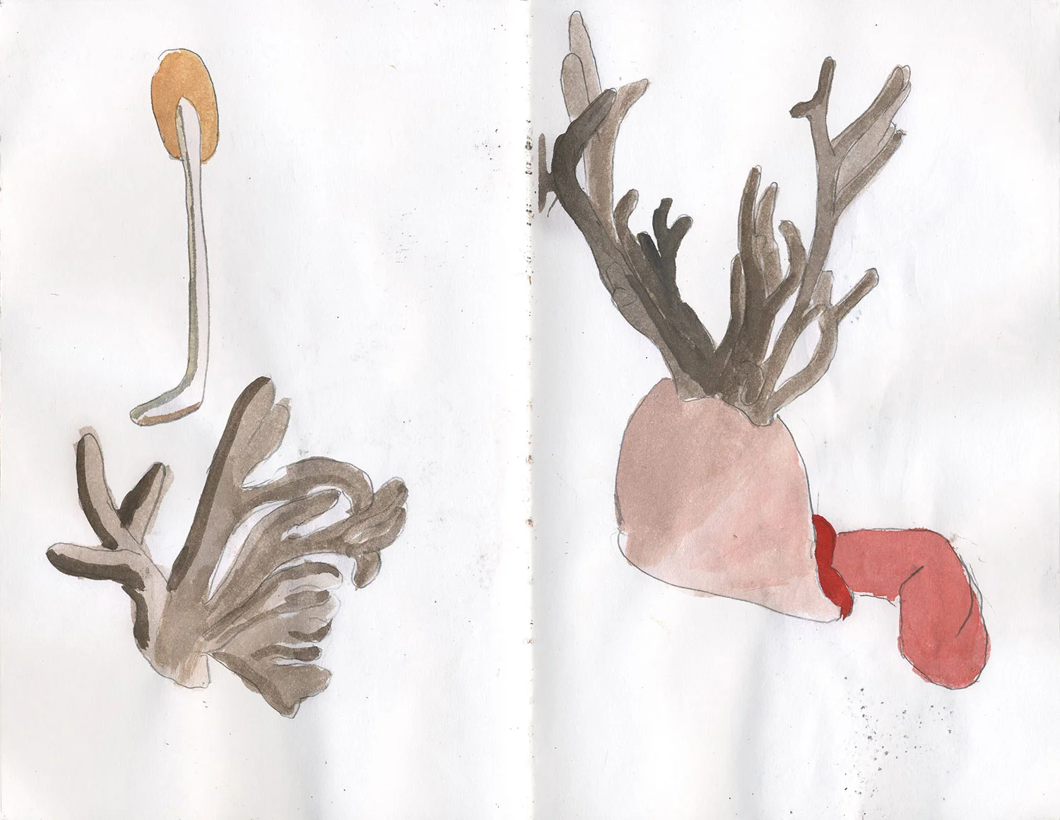 Sketchbook 17