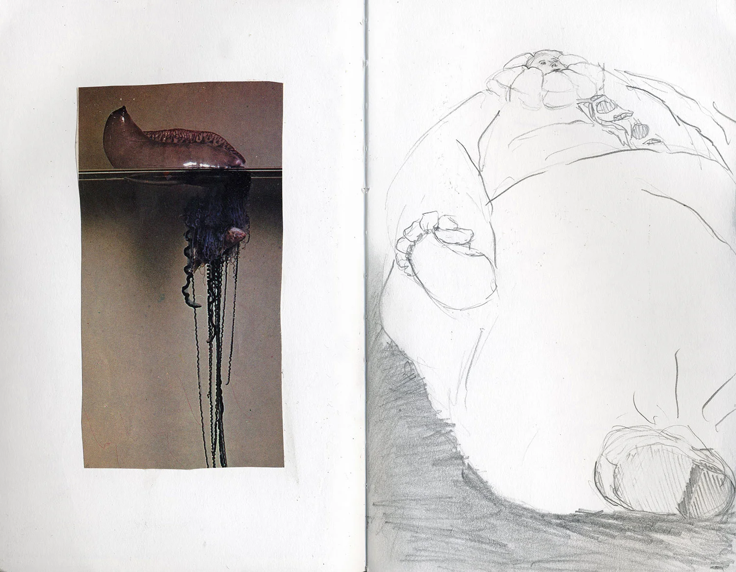 Sketchbook 17