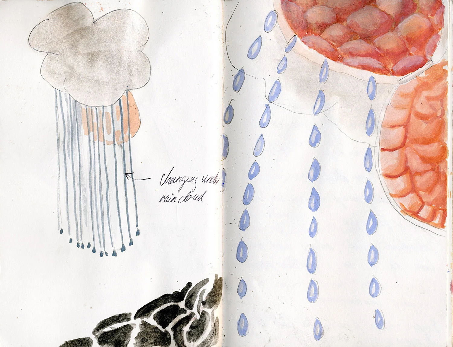 Sketchbook 16