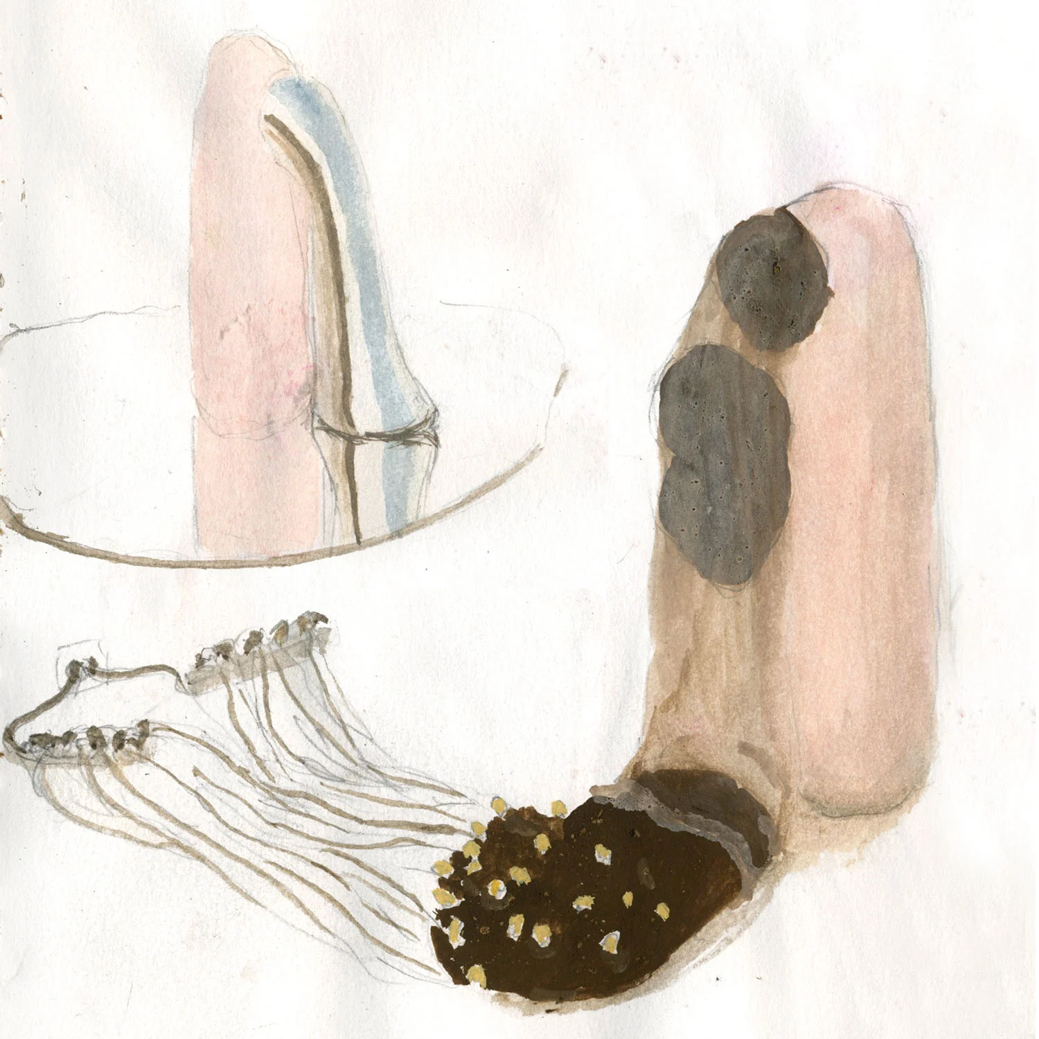 sketchbook_14-TN.jpg