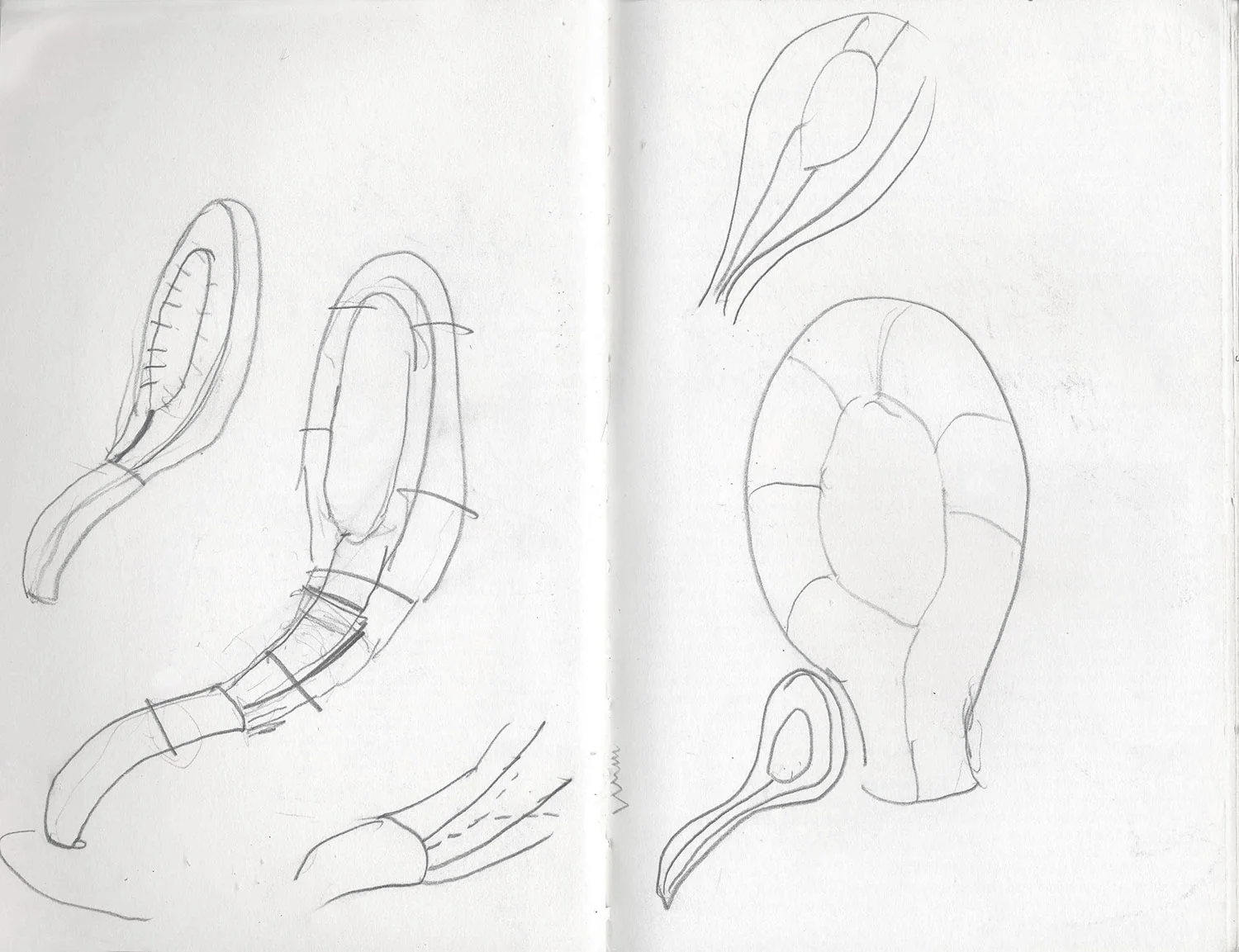 Sketchbook 13
