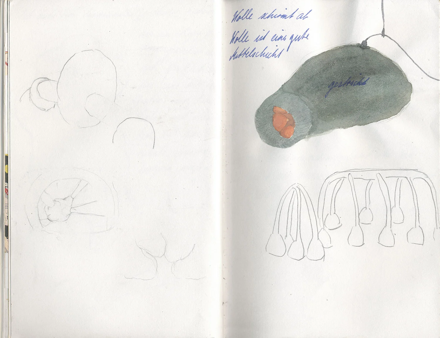 Sketchbook 8