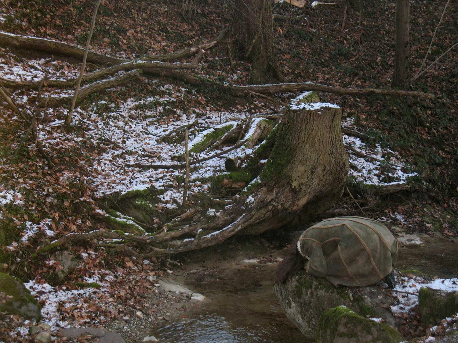 Merging with the Forest