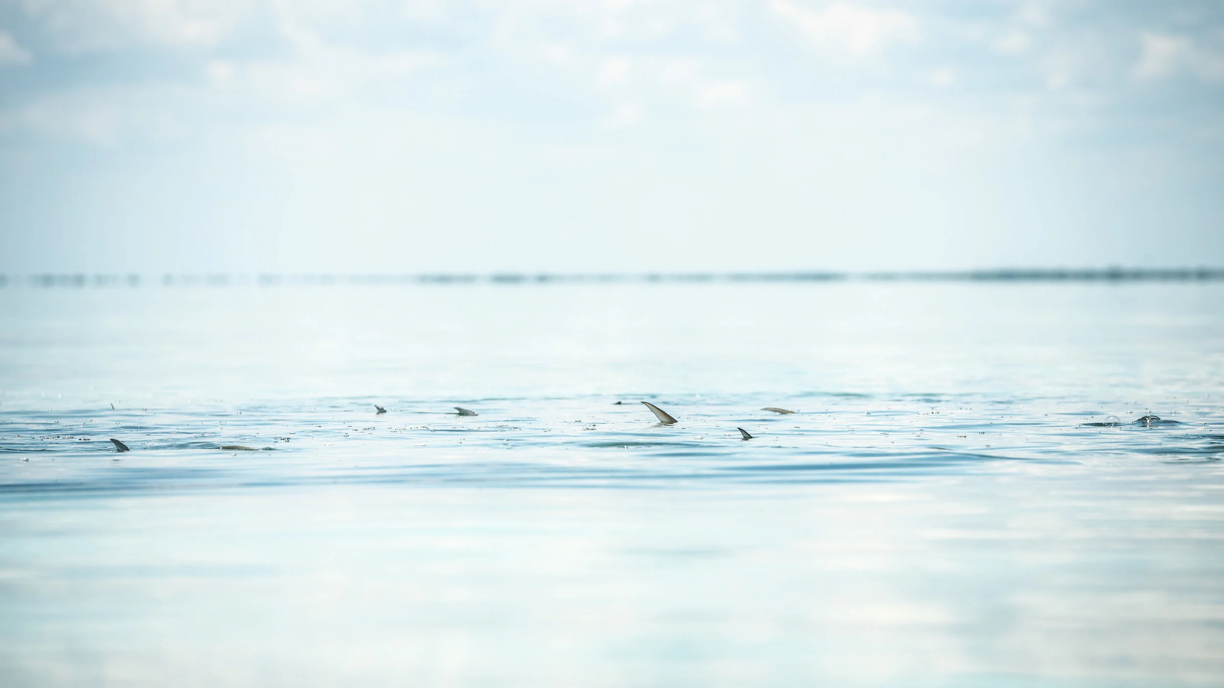 Belize_3_19-37.jpg