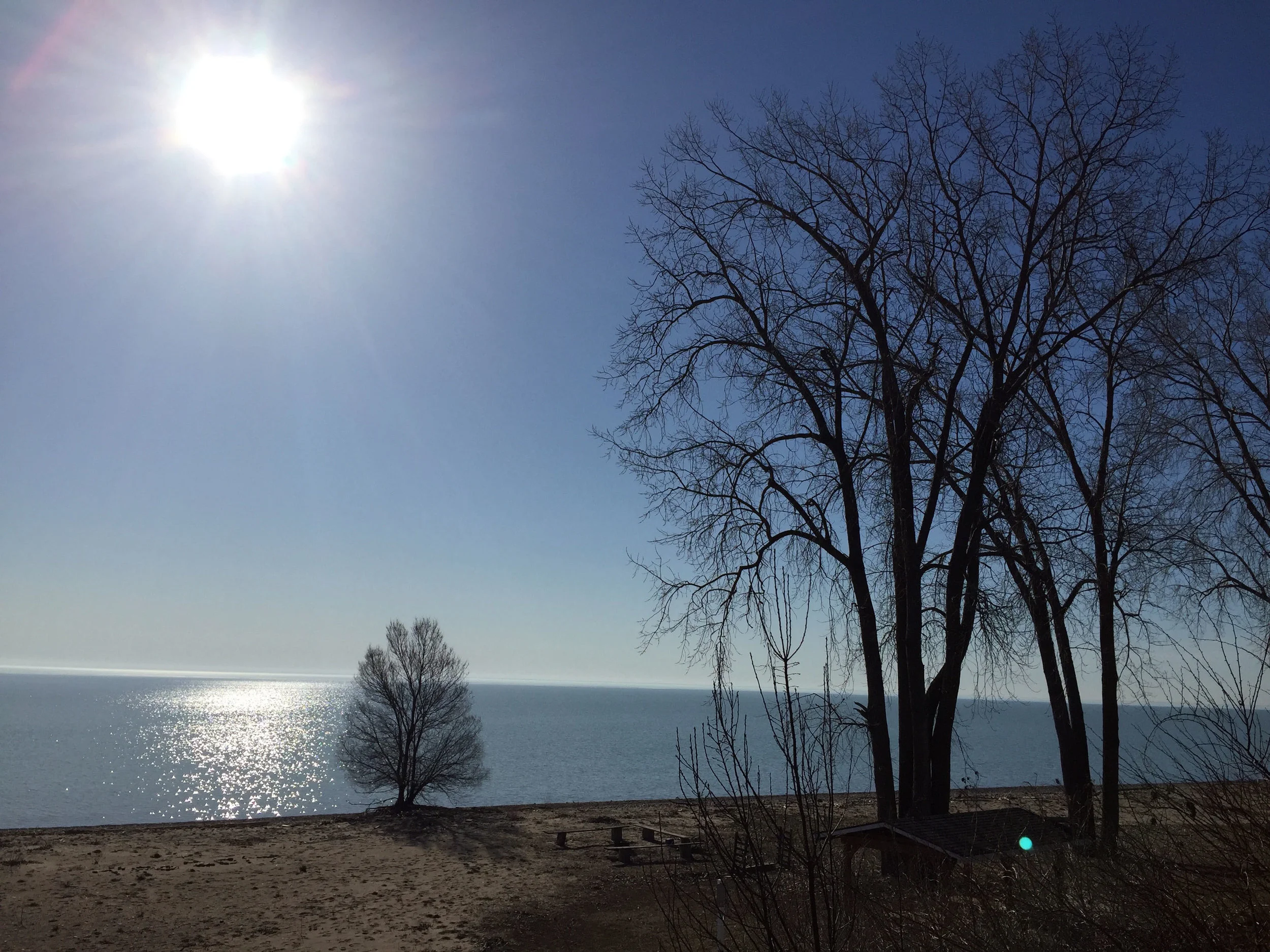 LHRC Beach.jpg