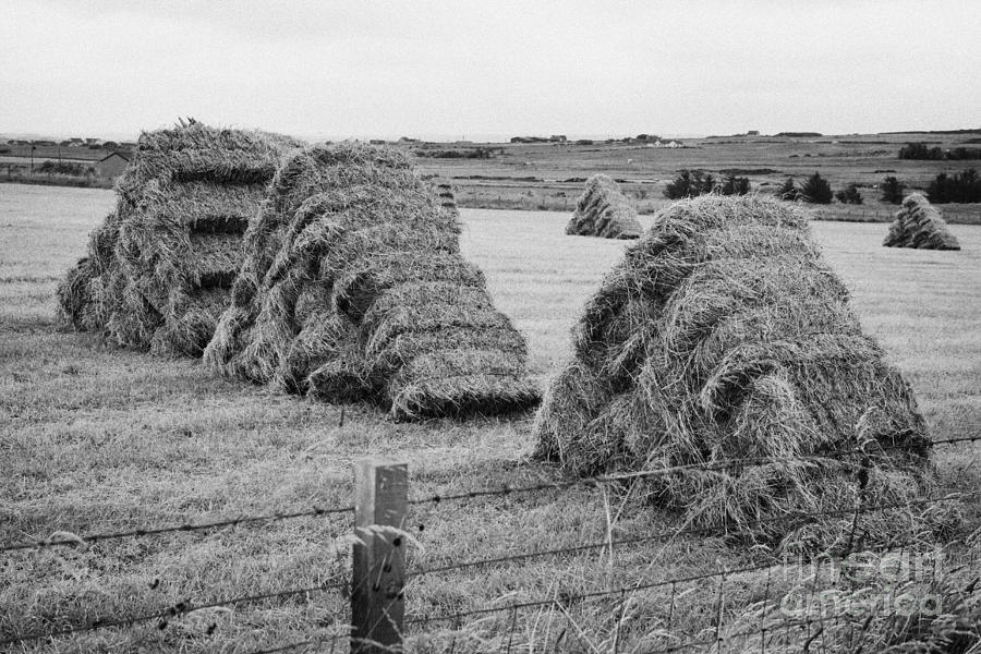 hay-bales-stacked-in-triangular-inverted-vee-formation-to-aid-rain-run-off-in-northern-scotland-uk-joe-fox.jpg