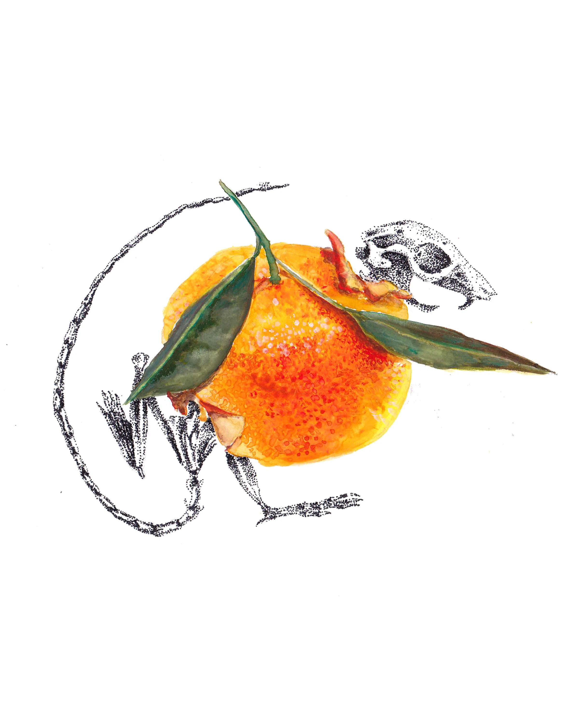 gouache_tangerinerat.jpg