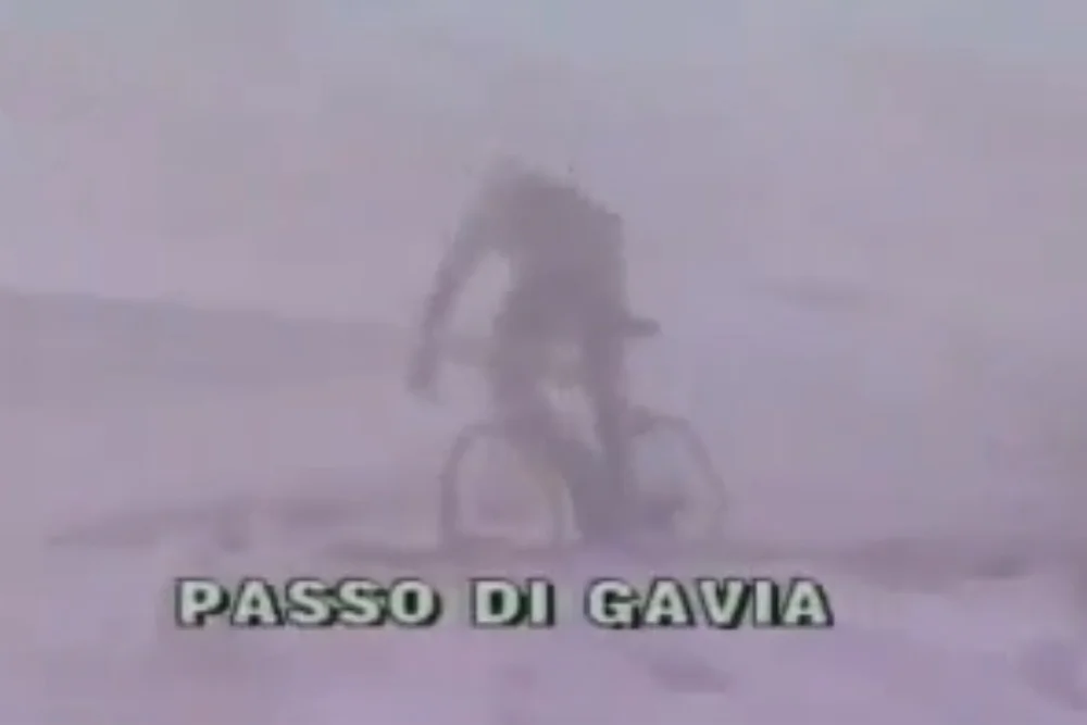 Gavia.jpg