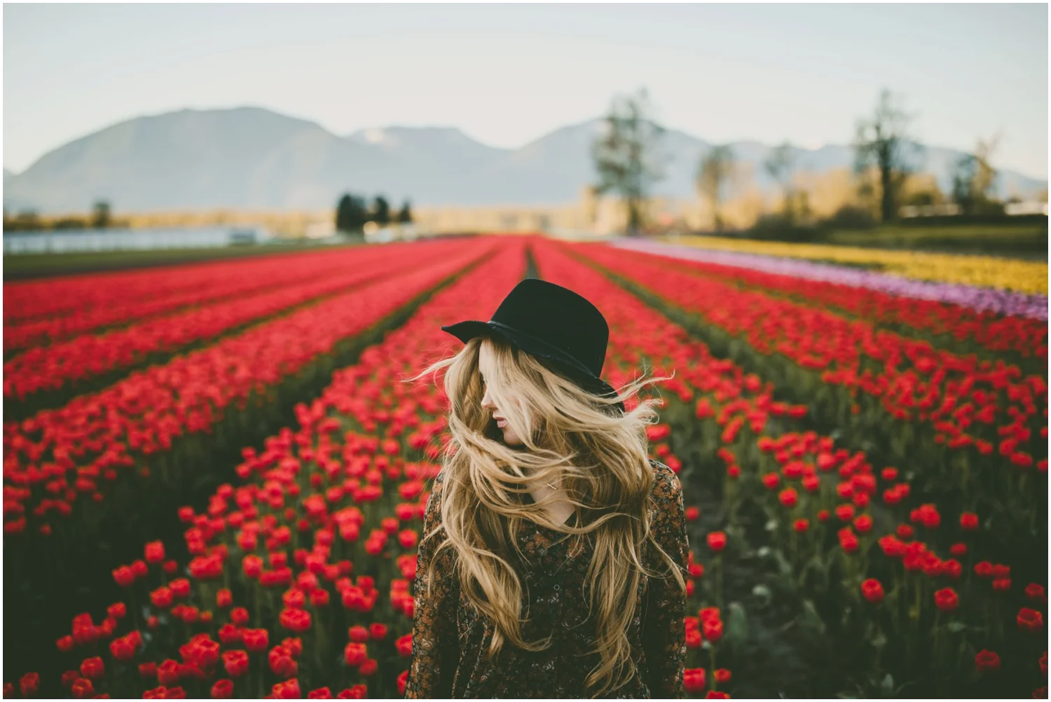 The beautiful Jessica Sipos amongst some vibrant blooms. 