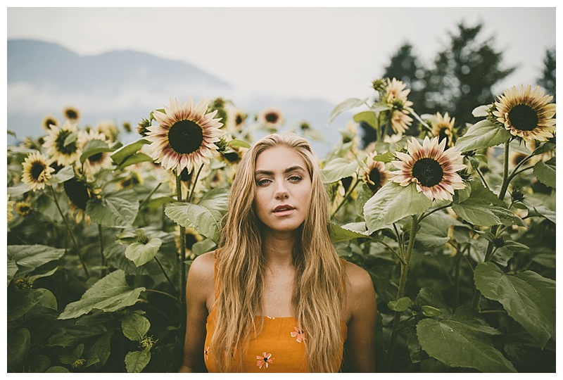 Chilliwack Sunflower Festival — Rachel Barkman Photography