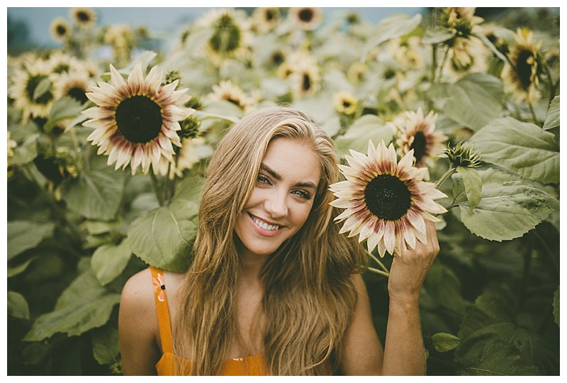 Chilliwack Sunflower Festival — Rachel Barkman Photography