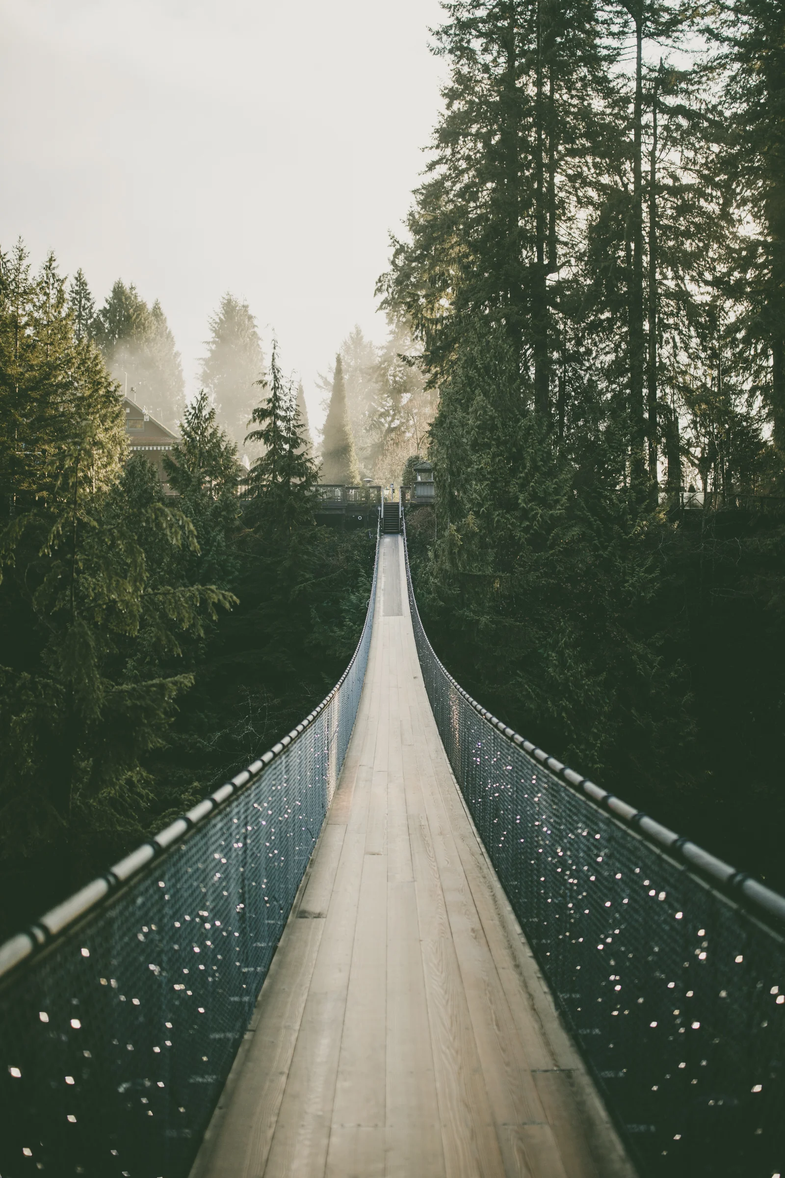 Capilano Suspension Bridge.jpg