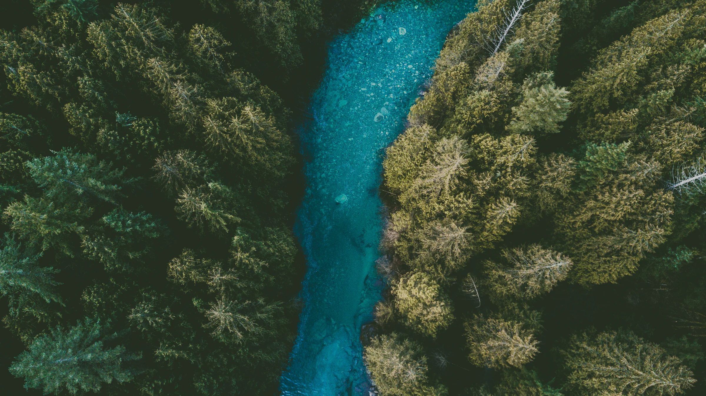 Gold Creek.jpg