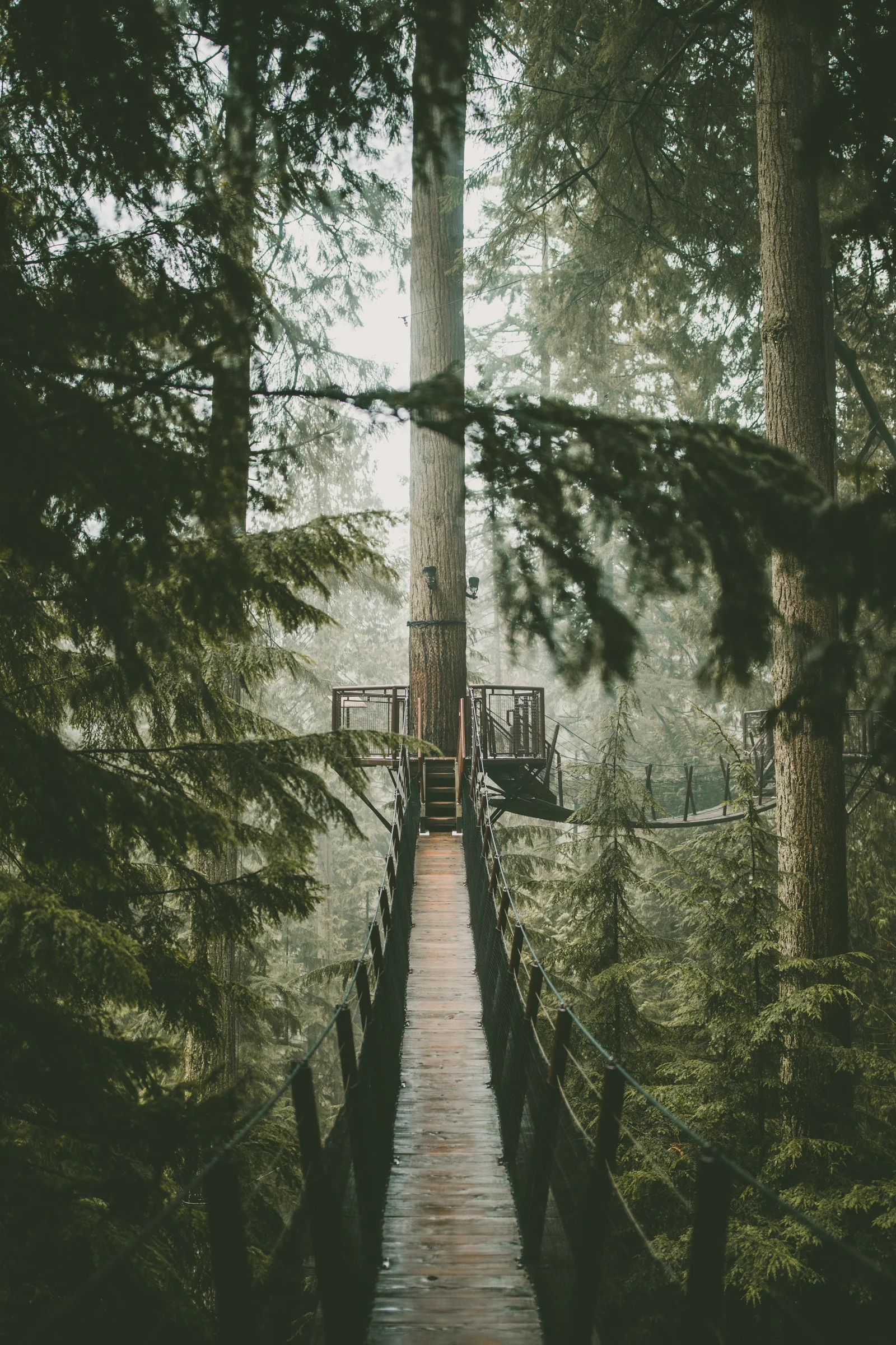A Grey Day in Endor.jpg